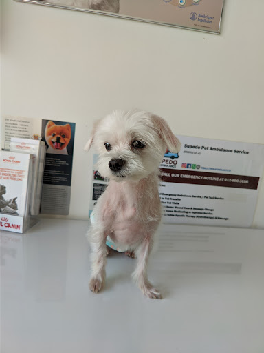 How Veterinary Clinic (Seri Alam)