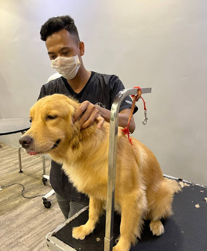 Pet Lovers Centre - Bukit Perdana, Batu Pahat