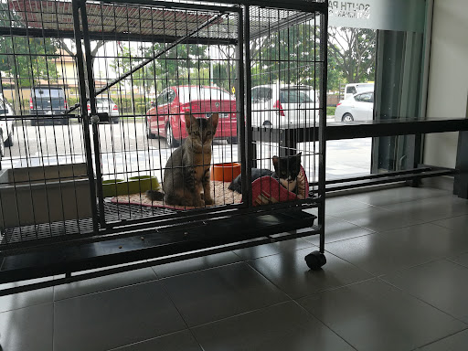 South Paws Veterinary Clinic