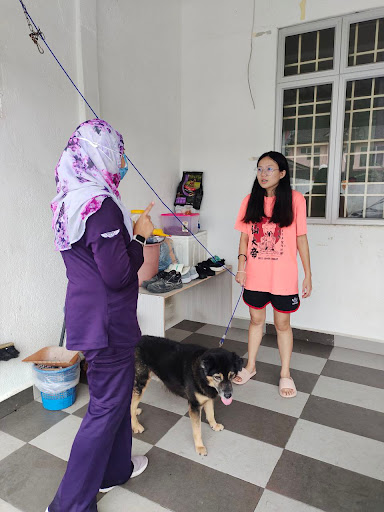 Klinik Haiwan Vetmedic Petlover