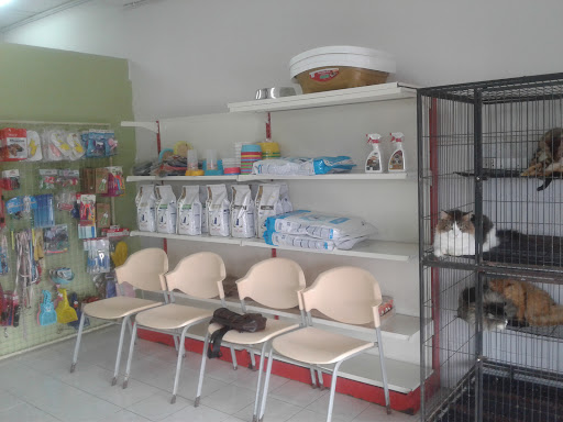 Nusajaya Veterinary Surgery