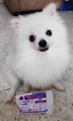 PAWSITIVE VETERINARY CLINIC