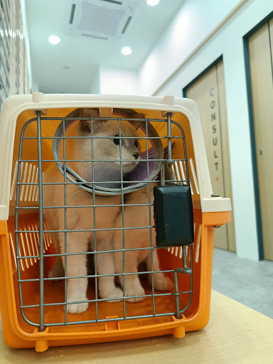 Pearl Veterinary Clinic, Mutiara Rini