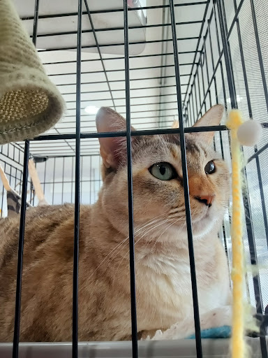 Little Ark Veterinary Clinic