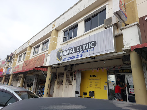 Pekan Nanas Animal Clinic