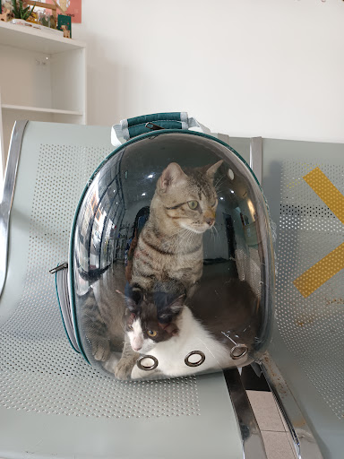 Fauna Veterinary Clinic