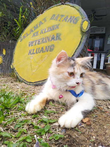 Pejabat Perkhidmatan Veterinar Daerah Kluang