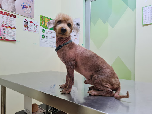 Eden Veterinary Centre