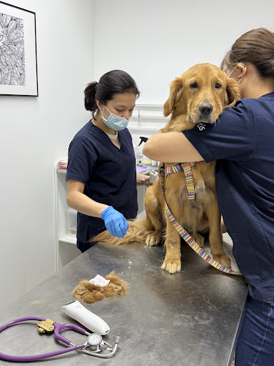 Healing Heart Veterinary Clinic