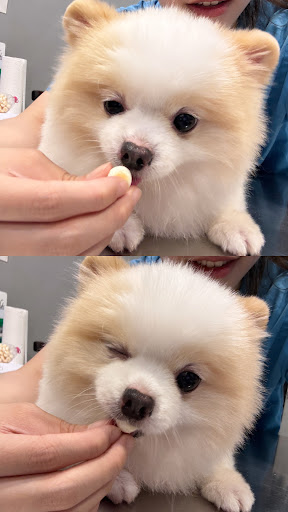 Vet Partners • Mount Austin