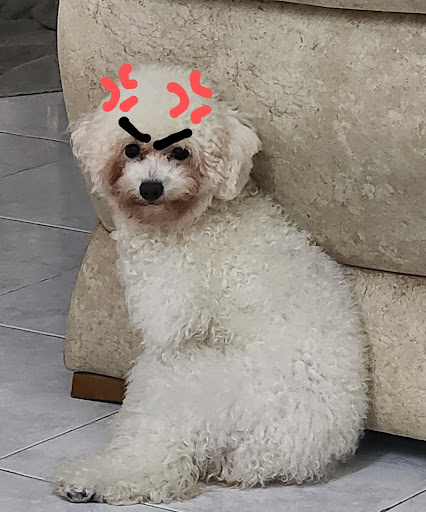 Vet Partners • Taman Universiti