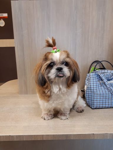 Vet Partners • Permas Jaya Medical Centre