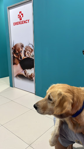 Miliyun Pet Care Indahpura ( Klinik Haiwan Saleng)