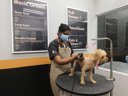 Pet Lovers Centre - Taman Mutiara Mas