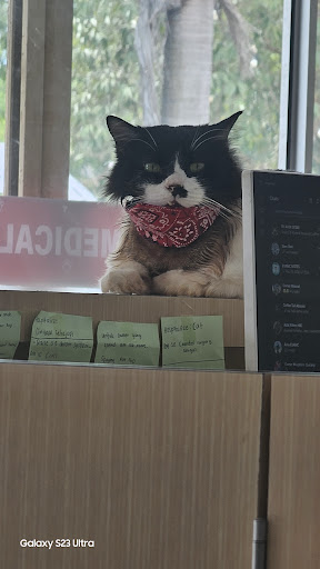 EV Animal Medical Centre