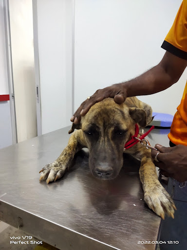 PetAn'I Animal Clinic