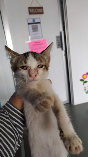 Klinik Haiwan Sejati