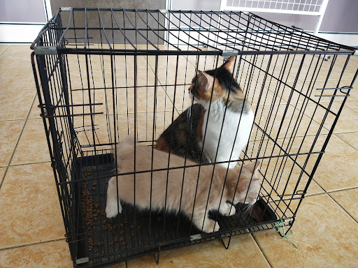 Klinik Haiwan Perdana Heights (Formerly known as Klinik Haiwan Ecovet SP)