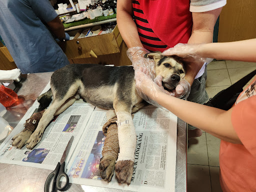 Pejabat Perkhidmatan Veterinar Kubang Pasu