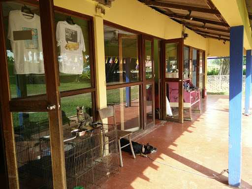 Cenang Vertenary Clinic