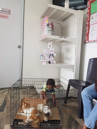 V Care Klinik Haiwan