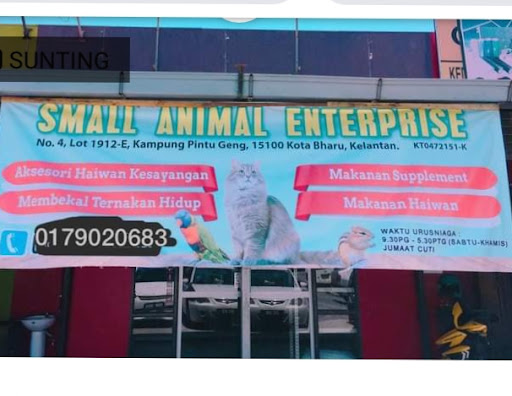 Kitty cat klinik kota bahru