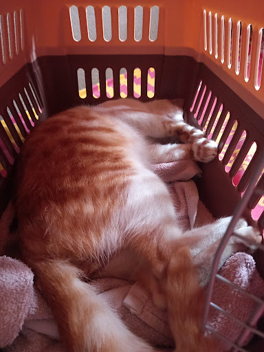 Tanah Merah District Veterinary Services Office
