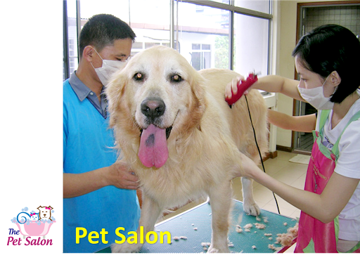 Animal Medical Center (AMC)