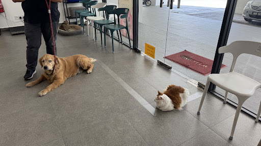 Furiendly Veterinary Clinic & Surgery