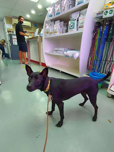 Klinik Veterinar Dan Surgeri Bangsar