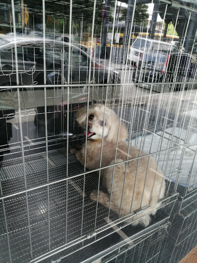 Animal Polyclinic & Kennels Sdn Bhd