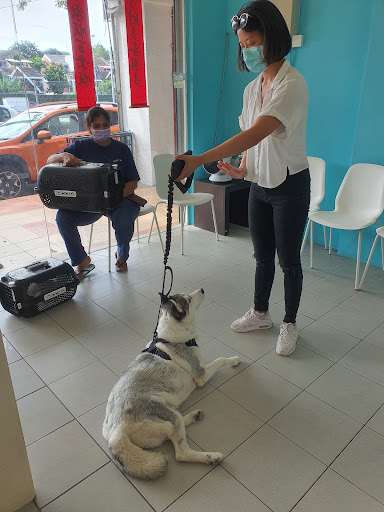 Pet Haven Veterinary Clinic