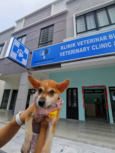 Bukit Jalil Veterinary Clinic & Surgery