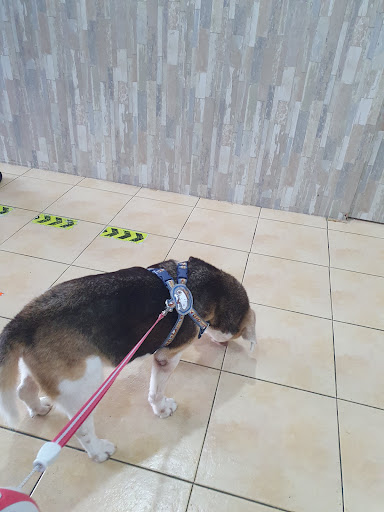 Klinik Haiwan Hartamas Veterinary Centre