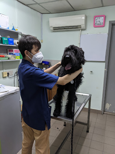 Damansara Heights Veterinary Clinic