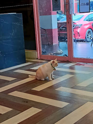 Klinik Haiwan Dr Hawa Sri Rampai