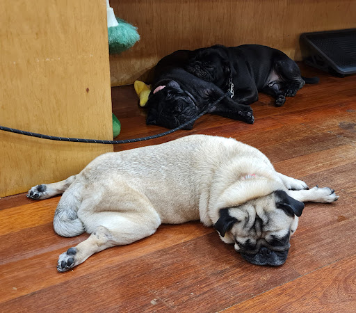 Small Animal and Exotics Veterinary Centre Small Animal and Exotics Veterinary Centre