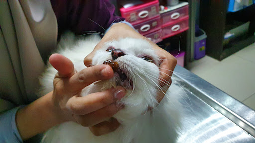Klinik Veterinar Muezza