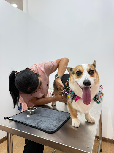 Pawfessor Animal Clinic