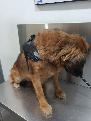 J-Avenue Veterinary Clinic