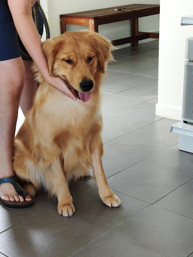 Yee Veterinary Clinic & Surgery