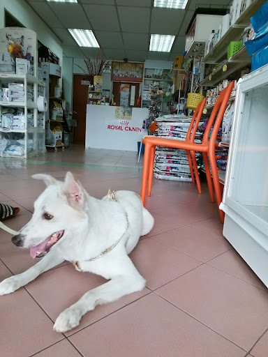 Right Angle Animal Clinic