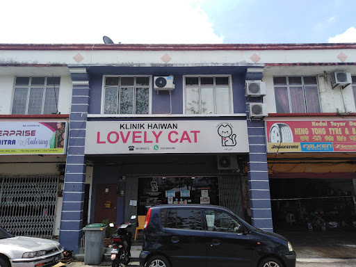 KLINIK HAIWAN LOVELY CAT