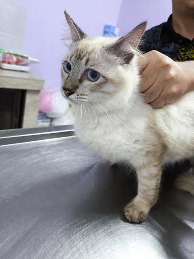 Pejabat Perkhidmatan Veterinar Daerah Masjid Tanah