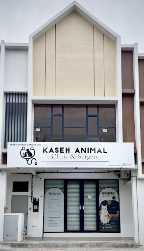 Kaseh Animal Clinic & Surgery