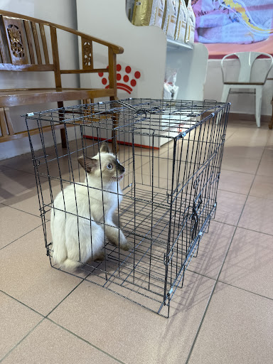 KLINIK HAIWAN DR HAWA NILAI