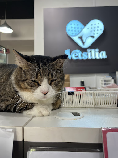 Vetsilia Veterinary Clinic (Formerly Klinik Veterinar Muezza)
