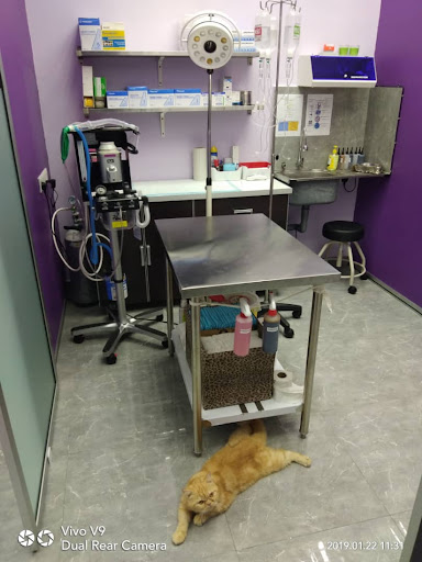 KLINIK HAIWAN & SURGERI CENTRIO, SEREMBAN 2