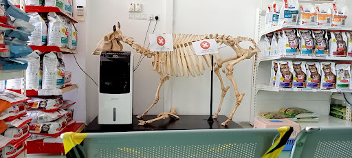 Klinik Veterinar dan Surgeri Norman