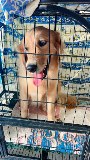 Animalia Veterinary Clinic